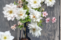 Iceberg Floribunda Rose 3 Gal Live Plant - Pure White Blooming Bush Rose