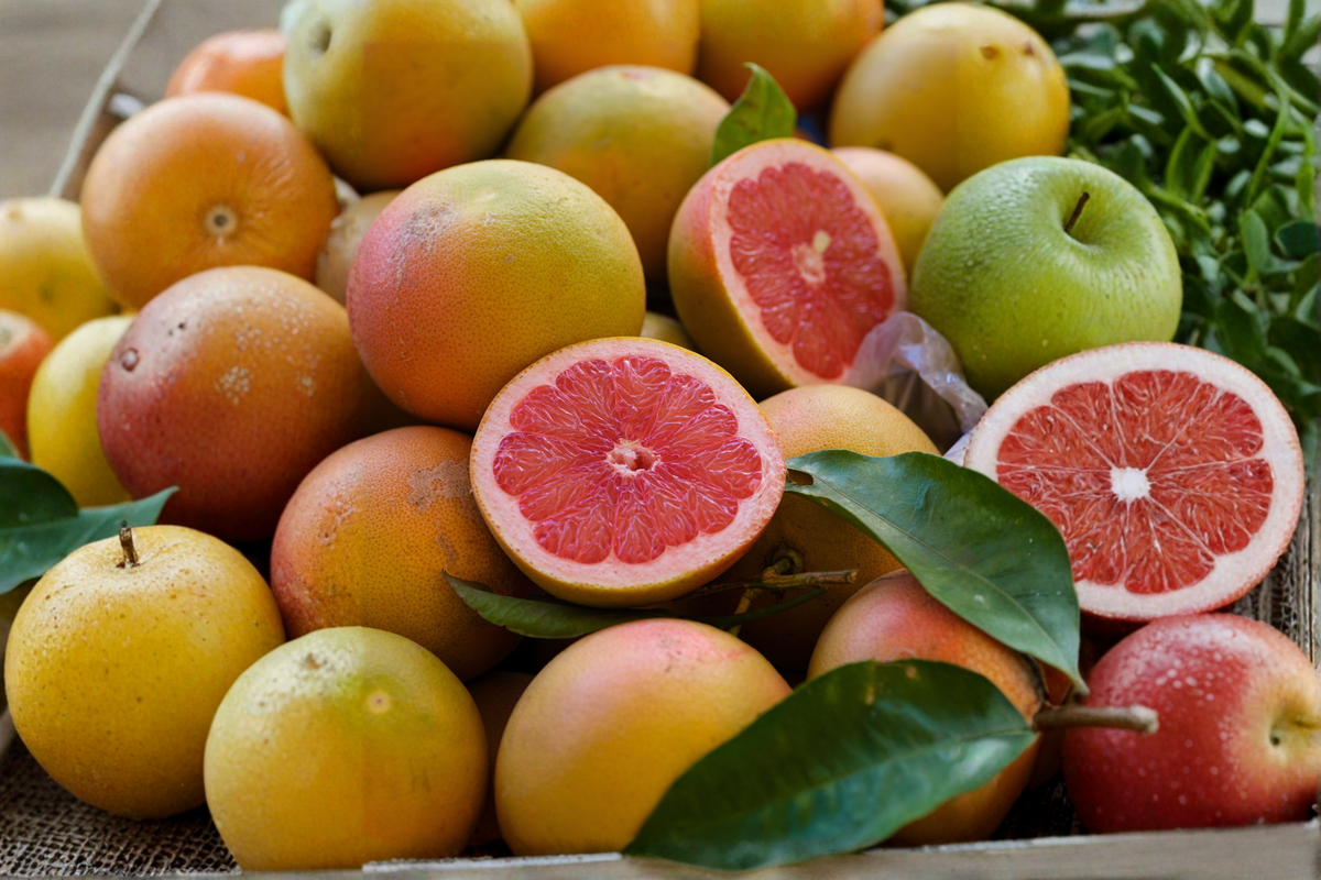 Ruby Red Grapefruit Tree Live Citrus 3-4 Ft in 4x4x14 Pot