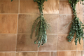 Fresh Eucalyptus Bundle – Bathroom Hanging Decor, Fresh Cut Botanical Gift