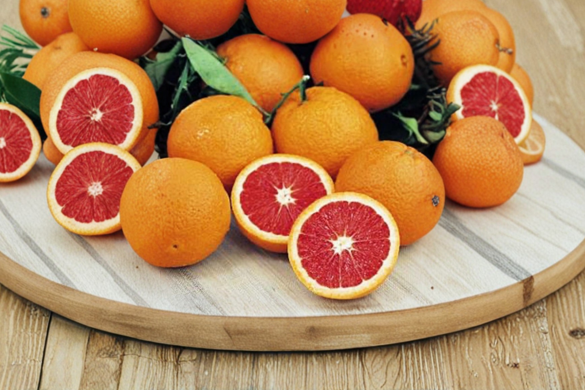 Dwarf Red Navel Orange Tree - Air Layered Live Citrus Plant, ~2 ft Tall (No CA Shipping)