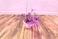 Tradescantia Pink Paradise Starter Plant | Pink Paradise Tradescantia in 4.5" Pot