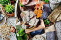 Begonia Silver Dollar Live Plant in 4-Inch Pot | Ornamental Foliage