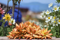 Graptosedum Live Cutting - Unrooted 3-Inch Succulent Cutting