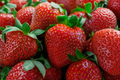 Honeoye Junebearing Strawberry Bare Root Plants (25 Pack) – Fragaria × ananassa
