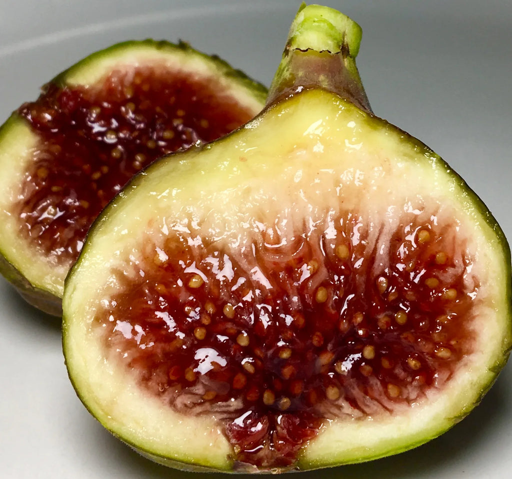 Smith Fig Tree Cuttings (2 unrooted) – 6–8" Organic, Heirloom Louisiana Fig for Propagation