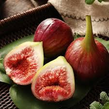 Monstrueuse Fig Unrooted Cuttings (3x) - Ficus carica, 5-6" Each