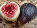 Black Madeira Fig Cuttings (2) - Ficus carica, Willow Water Rooting