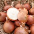 Sweet Spanish Colorado #6 Onion Seeds (Allium cepa) - 250 mg