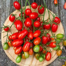 San Marzano Tomato Seeds (100 mg) - Solanum lycopersicum Heirloom Paste Tomato for Planting