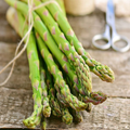 Jersey Knight Asparagus Bare Root Crowns - 10 Live 2-Year-Old Crowns, High-Yield Perennial
