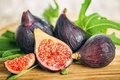 40 Fig Tree Seeds - Ficus carica | Non-GMO | Easy to Grow Edible Figs