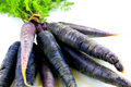 Black Nebula Carrot Seeds - Daucus carota | 500+ Deep Purple-Black Heirloom Non-GMO