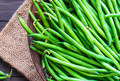 Provider Green Bush Bean (Phaseolus vulgaris) - 20 Seeds | Heirloom, Early Maturing