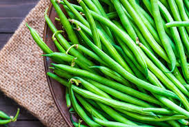 Provider Green Bush Bean (Phaseolus vulgaris) - 20 Seeds | Heirloom, Early Maturing