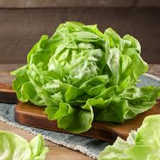 Summer Bibb Lettuce Seeds - 1000 Non-GMO, Heirloom, Heat-Tolerant Butterhead (Lactuca sativa)