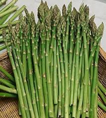 Asparagus Mary Washington Seeds - 40 Seeds of Asparagus officinalis (Heirloom)