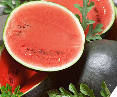 Sugar Baby Watermelon Seeds (Citrullus lanatus) – 25 Seeds, Icebox Variety
