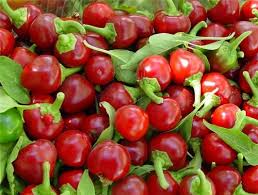Sweet Red Cherry Pepper Seeds - 25 Heirloom Capsicum annuum, Mild & Flavorful