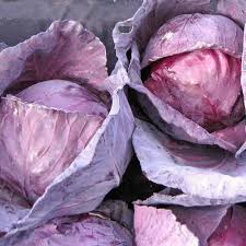 Red Acre Cabbage Seeds - 250 Seeds Brassica oleracea Heirloom for Cool-Weather Planting