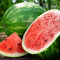 Crimson Sweet Watermelon Seeds – 2 Gram, Citrullus lanatus, Heirloom