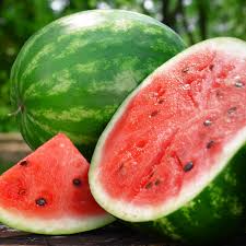 Crimson Sweet Watermelon Seeds – 2 Gram, Citrullus lanatus, Heirloom
