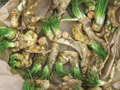 Horseradish Roots for Planting - Organic Starter Plant (2 Roots) - Easy to Grow