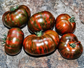 Chocolate Stripes Tomato Seeds - Heirloom, Organic, Non-GMO, Long-Season (30+ seeds)