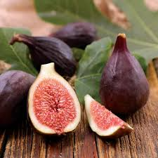 Violette de Bordeaux Fig Seeds - Ficus carica, 100+ Self-Pollinating Dark Fig Seeds