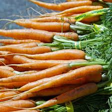 Little Fingers Carrot Seeds - Daucus carota | Heirloom Mini Baby Carrots, 3-4"