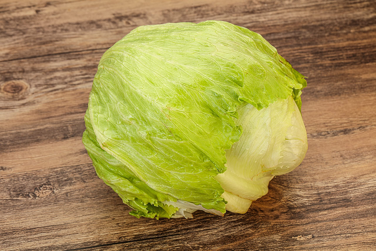 Iceberg Lettuce Seeds (Lactuca sativa) - 1000 Seeds | High-Yield, Non-GMO