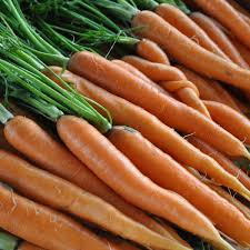 Carrot Scarlet Nantes Seeds - 1g Daucus carota Heirloom, Sweet Tender Roots