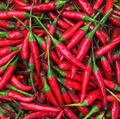 Red Thai Pepper Seeds - Heirloom Capsicum annuum, 20 Seeds