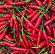Red Thai Pepper Seeds - Heirloom Capsicum annuum, 20 Seeds