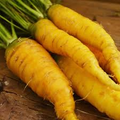 Solar Yellow Carrot Seeds (Daucus carota) - 200 Seeds, Heirloom, 60–75 Days