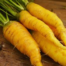 Solar Yellow Carrot Seeds (Daucus carota) - 200 Seeds, Heirloom, 60–75 Days