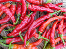 Hot Cayenne Red Long Pepper Seeds (Capsicum annuum) - 300mg Non-GMO