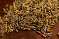 Cumin (Cuminum cyminum) Seeds – 250 Count, Aromatic Spice Herb for Cooking