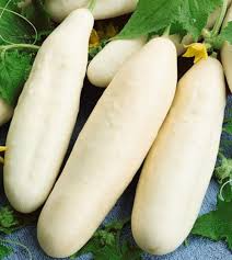 White Wonder Cucumber - 50 Seeds (Cucumis sativus) Heirloom, Creamy White Skin, Crisp Sweet Flavor