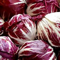 Radicchio Seeds - 500 Palla Rosa Heirloom, Italian Chicory – Non-GMO, Cooler-Season Leafy Green