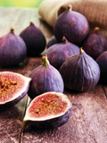 Violette de Bordeaux Fig Cuttings for Propagation – 6 Premium Cuttings