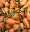 Oxheart Carrot Seeds - Heirloom Daucus carota, Short Thick Roots, Sweet Flavor (200 seeds)