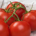 Better Boy Tomato VFN - 10 Seeds, Solanum lycopersicum, High-Yield Hybrid