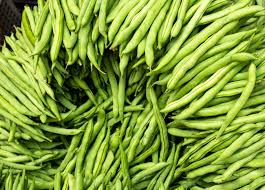 Provider Green Bush Bean Seeds - 5g Pack | Heirloom, Non-GMO, High-Yield