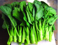 Wan Shen Kailan Seeds (500mg) - Chinese Broccoli, Heirloom Non-GMO Brassica oleracea