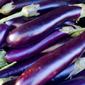 Eggplant Long Purple Seeds - Solanum melongena | Heirloom, 300mg (~75 seeds), 70-80 days