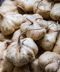 True Jicama Seeds (Pachyrhizus erosus) - 5 Heirloom Seeds