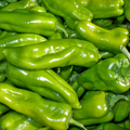 Cubanelle Sweet Pepper Seeds - Capsicum annuum, Mild, High-Yielding (25 Seeds)