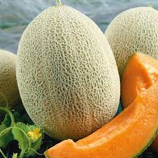 Hales Best Jumbo Melon Seeds - Cucumis melo | Heirloom, Non-GMO, 1g (~35 seeds) - Sweet, Heat-Tolerant