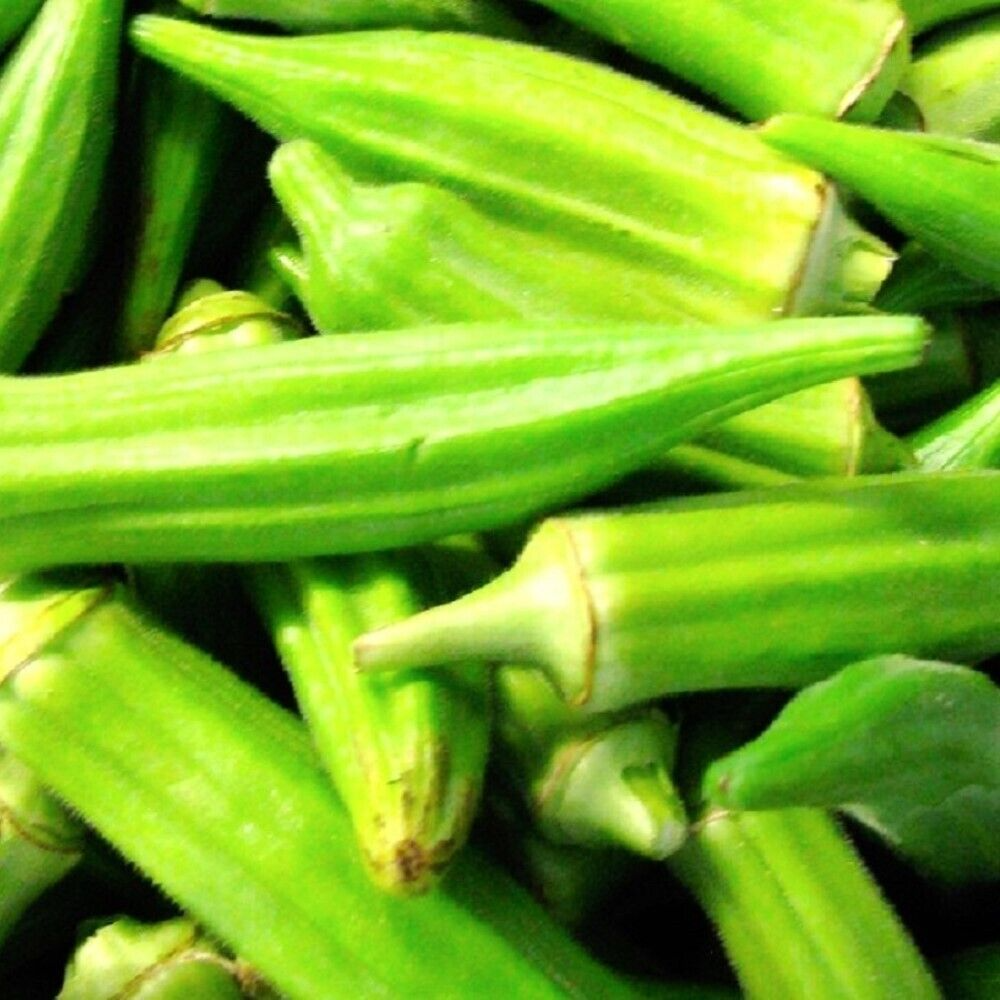 Clemson Spineless Okra Seeds (5g) Abelmoschus esculentus - Heirloom, Non-GMO, High Yield