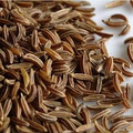 Caraway (Carum carvi) Seeds – 100 Anise?Scented Herb Seeds